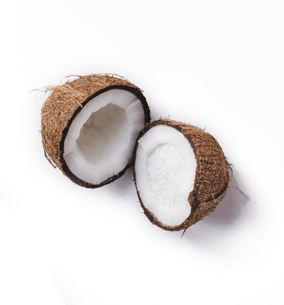 Cocco